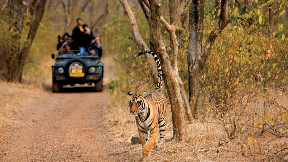 Top 10 Tourist Places in Ranthambore | Tourist Attractions in Ranthambore